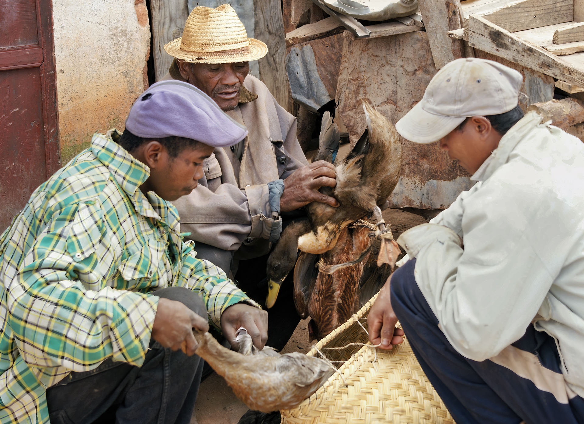 Markttag in Ambalavao